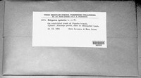 Phellinus igniarius image